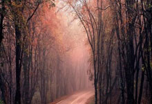 天涯社区论坛找客户，这些方法太实用了！