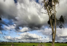 天涯社区职场那些事儿：从月入过万到不见人影的工资真相!