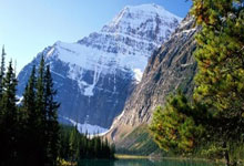 天涯社区论坛找客户，这些方法太实用了！